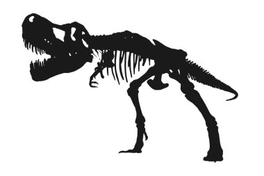 Tyrannosaurus Rex iskelet silueti izole beyaz arka plan üzerinde . Vektör