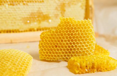 Hafif bir arka plan üzerinde taze petek.