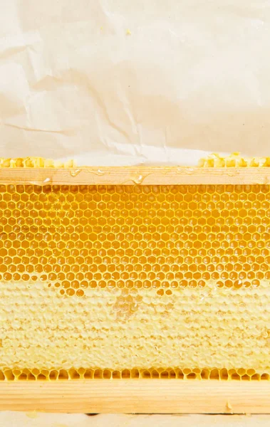 Honing Kammen Het Frame Frame Met Natuurlijke Verse Honingraten Textuur — Stockfoto