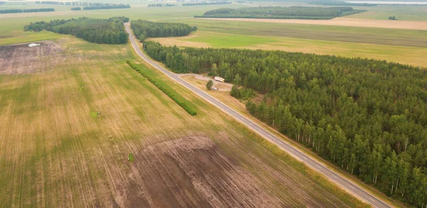 Drone'dan yol alanı ormanı park