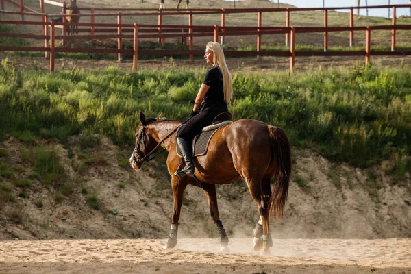 Venkovní Záběr Krása Blond Žena Koni Dne Mladá Žena Sportovní — Stock fotografie