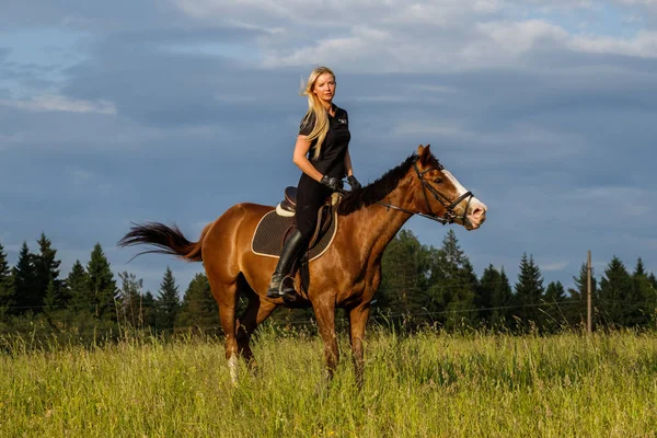 Foto Aire Libre Mujer Rubia Belleza Montar Caballo Durante Día — Foto de Stock