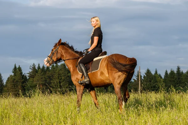 Colpo All Aperto Bellezza Bionda Donna Cavallo Durante Giorno Giovane — Foto Stock