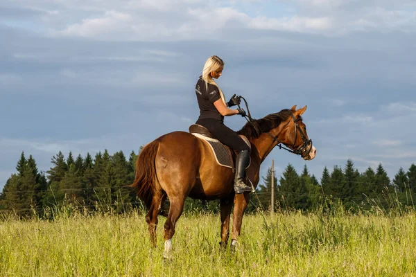 Außenaufnahme Der Schönheit Blonde Frau Reiten Pferd Bei Tag Junge — Stockfoto