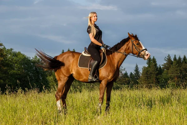 Tiro Livre Mulher Loira Beleza Montando Cavalo Durante Dia Jovem — Fotografia de Stock