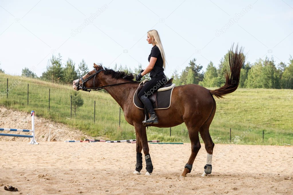 Outdoor shot of beauty blond woman riding horse at daytime. Young woman in sporty clothes enjoying horseback riding at racecourse 