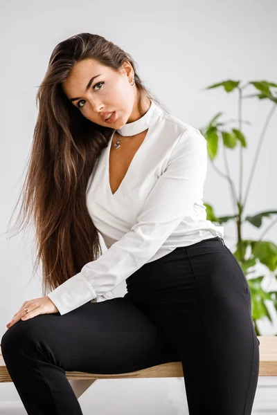 Studioporträt Einer Jungen Brünetten Frau Weißem Hemd Und Schwarzer Hose — Stockfoto