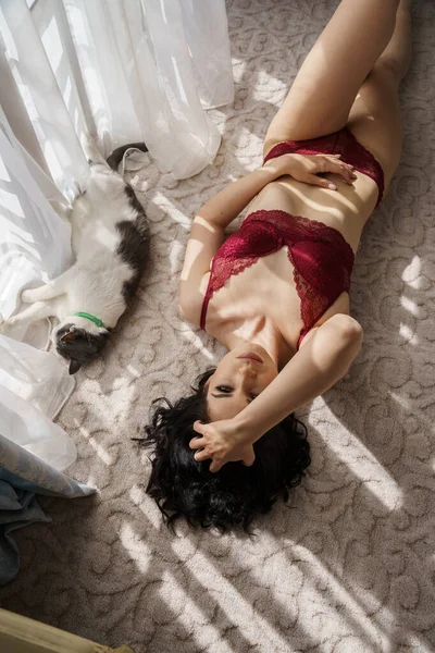 Sexy Brünette Mit Lockigem Haar Spielt Mit Katze Wohnungen Interieur — Stockfoto