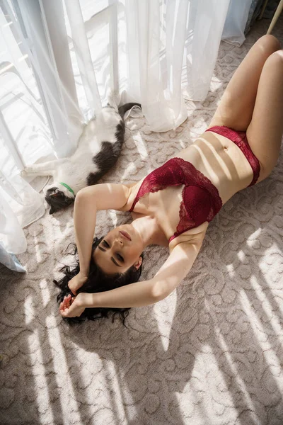 Morena Sexy Com Cabelo Encaracolado Brincando Com Gato Apartamentos Interior — Fotografia de Stock
