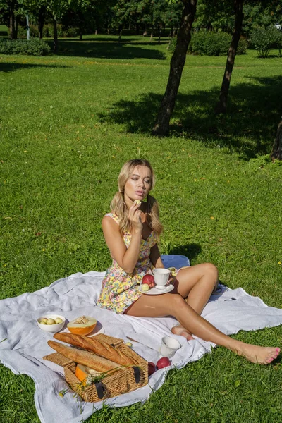 Відкритому Повітрі Портрет Краси Блондинки Літньому Одязі Модель Відпочинку Пікніку — стокове фото