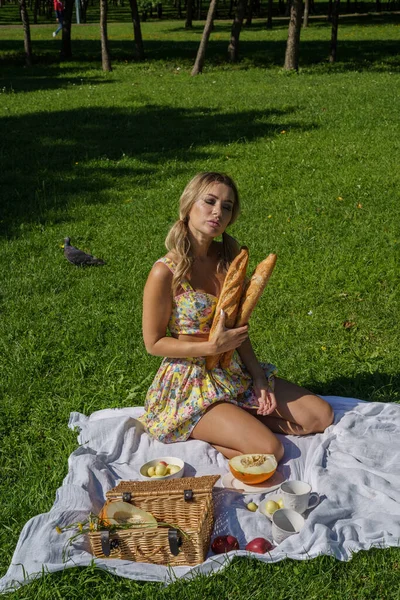 Livre Retrato Mulher Loira Beleza Roupas Verão Modelo Descansando Piquenique — Fotografia de Stock