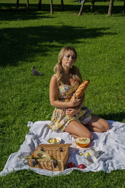 Livre Retrato Mulher Loira Beleza Roupas Verão Modelo Descansando Piquenique — Fotografia de Stock