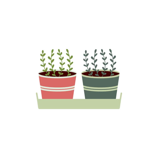 Plantas Vaso Uma Bandeja Plana Vetor Ilustration Home Jardinagem — Vetor de Stock