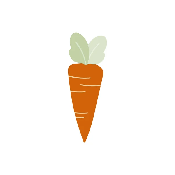 Carrot Platte Vector Illustratie Geïsoleerd Een Witte Achtergrond — Stockvector