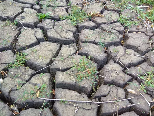 Fleuve Mourant Dans Sud Russie — Photo