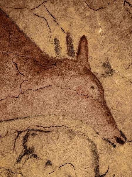 Great deer in the cave painting of Altamira, Santillana del Mar, Cantabria, Spain