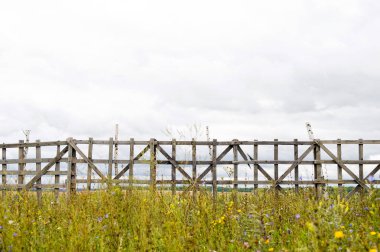 eski bir ahşap çit ile alana bakmak, yakın