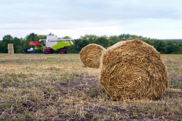 農業機械と人々を背景にクローズアップフィールド上の干し草の山 — ストック写真