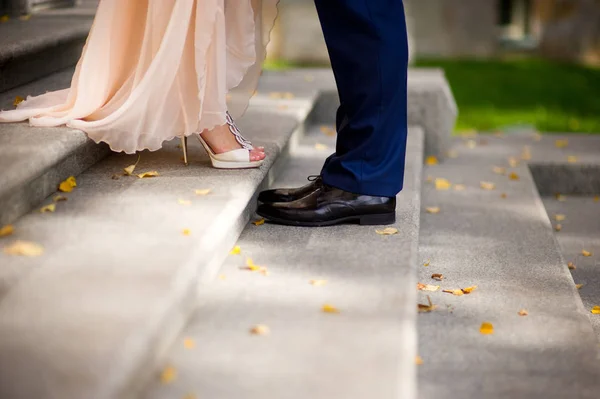 Braut und Bräutigam stehen sich auf den Stufen gegenüber, im Rahmen nur Beine, ringsherum fallen Herbstblätter — Stockfoto