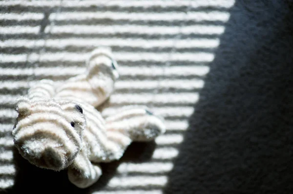 Een speelgoed Beer zit op de grond en wordt verlicht door zonlicht door de jaloezieën. ruimte kopiëren — Stockfoto