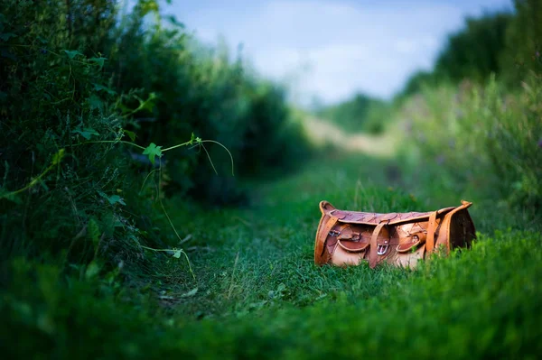 Bolsa de viagem de couro elegante laranja em um caminho entre moitas verdes — Fotografia de Stock