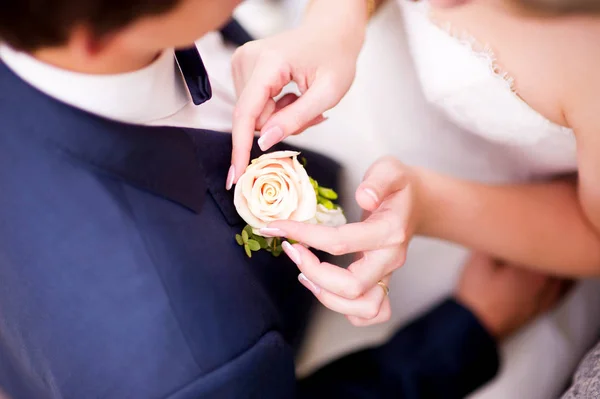the bride s hands gently touch the buttonhole in the groom s pocket. Top view