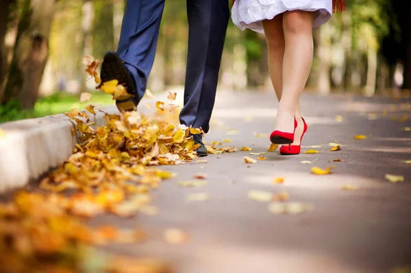 Das Paar spaziert im Herbst durch den Park und wirft mit den Füßen herabgefallenes Laub in die Luft. Nahaufnahme, keine Gesichter — Stockfoto