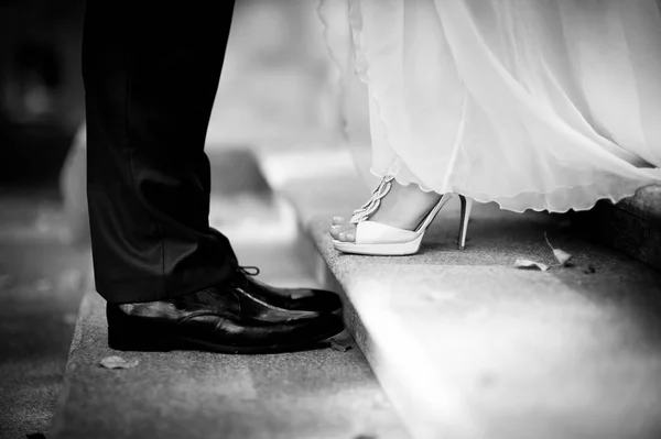 La novia y el novio se paran uno frente al otro en las escaleras, en el marco solo piernas, alrededor se caen hojas de otoño —  Fotos de Stock