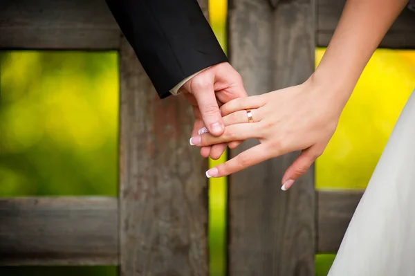 De bruidegom houdt zachtjes de bruiden hand op de achtergrond van een massieve houten kraag, waarachter een helder bos — Stockfoto