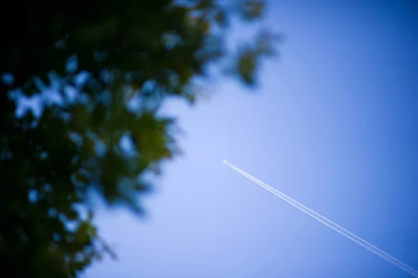 Самолет летит от угла рамы к центру, а в противоположном углу находится дерево в дефокусе — стоковое фото