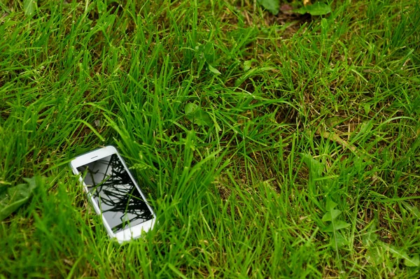 White mobile phone lies in green grass. Copy space — Stock Photo, Image