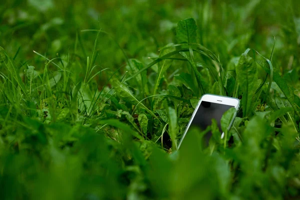 the edge of the lost smartphone sticks out of the grass. selective focus, bokeh, copy space