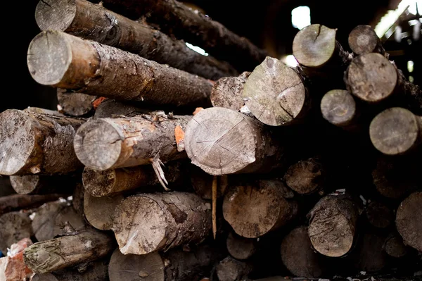 Old untreated logs with partially preserved bark against the dark premises of the old building. — Stock Photo, Image