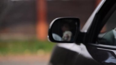 Sürücü çöpü arabanın camından dışarı atar ve gider, seçici odaklanma, bokeh