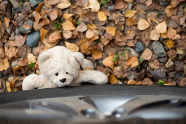 a teddy bear lies under the wheel of a car clipart