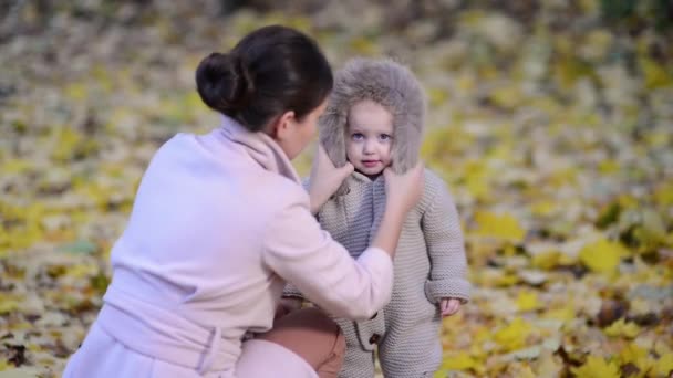 Mulher Envolve Seu Bebê Livre Uma Noite Fria Parque Close — Vídeo de Stock