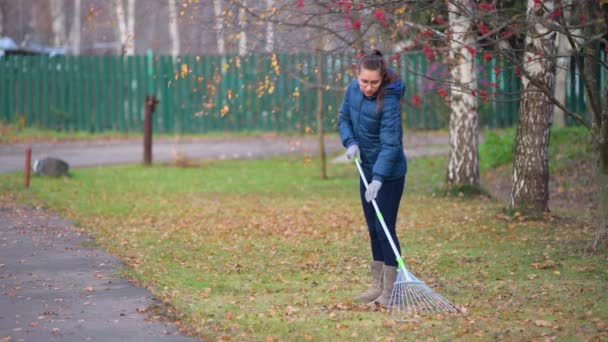 Girl Collects Dry Leaves Rake Lawn Village Autumn Evening — Stock Video