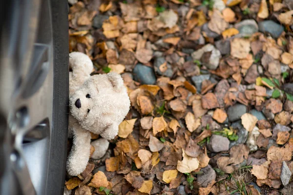 teddy bear pinned by a car