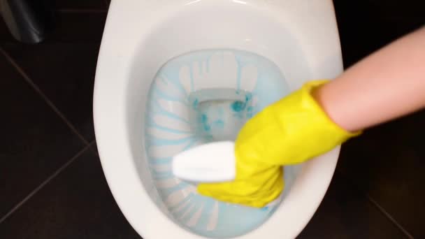 Hand Protective Glove Handles Toilet Special Tool Rinses Close — Stock Video