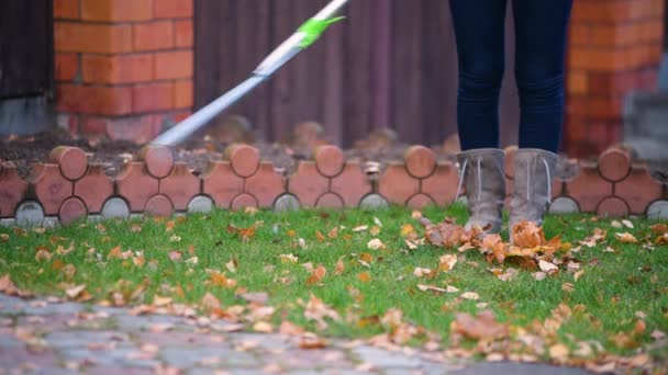 Close Van Een Groen Gazon Waaruit Gevallen Bladeren Worden Geharkt — Stockvideo