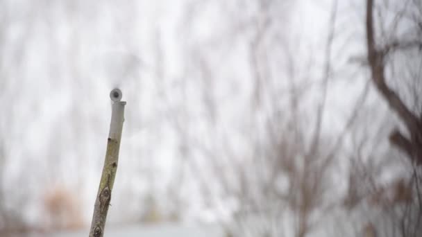 Wind Schudt Een Geïmproviseerde Windmolen Voor Een Dorpsplatform Een Bewolkte — Stockvideo