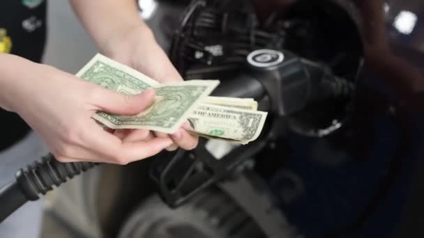 Mains Compte Des Billets Dollars Froissés Sur Fond Carburant Voiture — Video