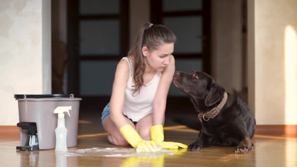 Der Hund Sieht Die Herrin Schuldig Die Den Boden Wäscht — Stockvideo