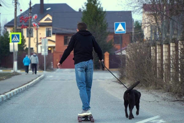 Adolescente Irreconhecível Montando Skate Passeia Cão Uma Coleira Uma Área — Fotografia de Stock