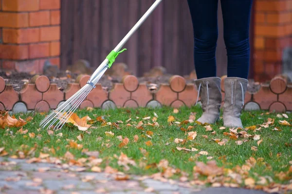 Närbild Grön Gräsmatta Från Vilken Fallna Blad Rakas — Stockfoto