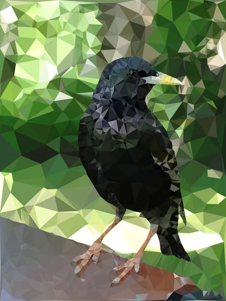 摘要在绿色背景下的分枝上 低聚星鸟的特征为黑色 三角形不规则多边形几何晶体折纸多色图案 — 图库矢量图片