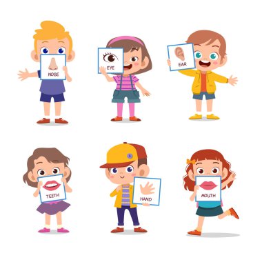 İnsan vücudunun vektör illüstrasyonu