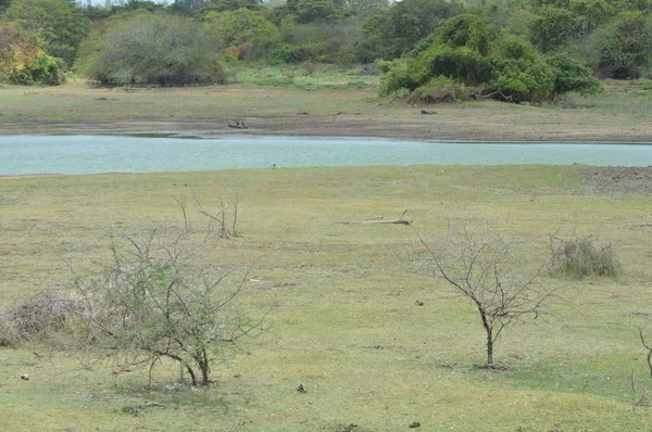 Valle Con Lago Sri Lanka — Foto de Stock