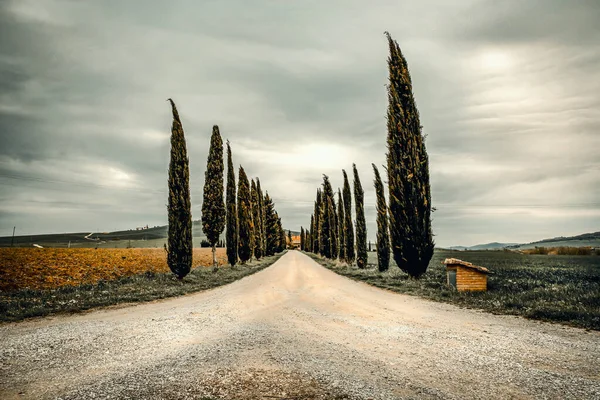 Stemmingsval Foto Van Toscane Landschap Lege Ruimte Achtergrond Voor Producten — Stockfoto