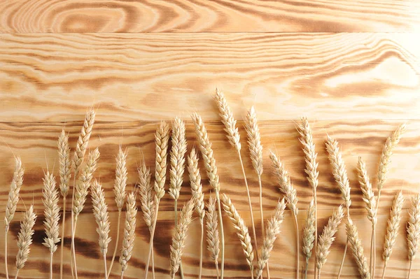 木製の光の背景に熟した小麦の耳 上から見る クローズ アップ テキストの空き領域 — ストック写真
